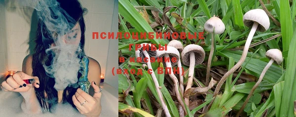 мяу мяу мука Арсеньев